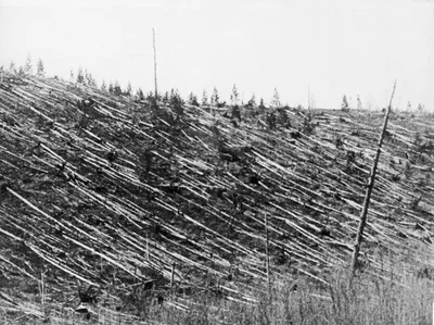 Загадка Тунгусского метеорита: 100 лет спустя