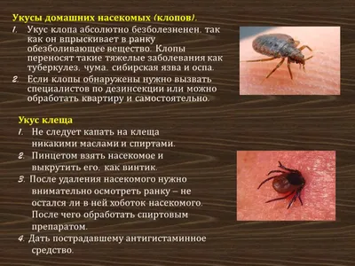 Укусы насекомых - Доказательная медицина для всех