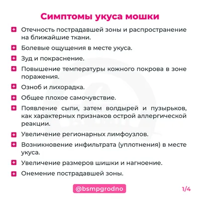 Клоп, комар или клещ? Как различить укусы насекомых и что с ними делать |  Ридус | Дзен