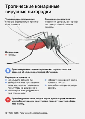 В Днепропетровской области появились опасные мошки, от укуса которых  появляется фурункул