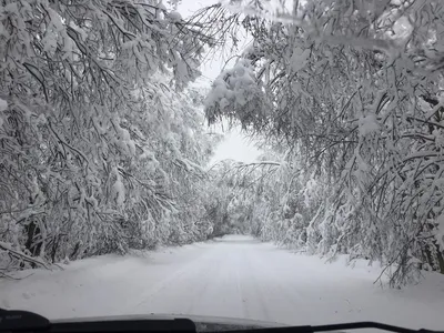 Снежки и санки - зимние забавы детей в Ташкенте — фото