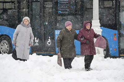 Ружанам – о метели и гололедице - РузаРИА - Новости Рузского городского  округа. Фото и видео