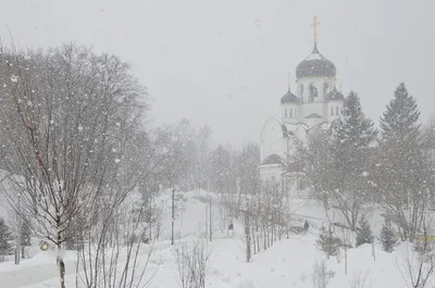 Опять метель: как выглядит Петербург под снежной лавиной 27 ноября