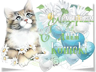 День котов и кошек: 17 февраля, 1 марта, 8 августа - открытки с  поздравлениями | Открытки, Картинки, Кошачьи фотографии