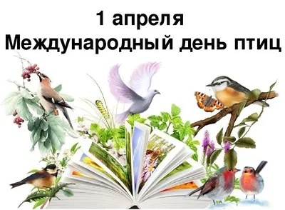 1 апреля- МЕЖДУНАРОДНЫЙ ДЕНЬ ПТИЦ | Детский сад №45