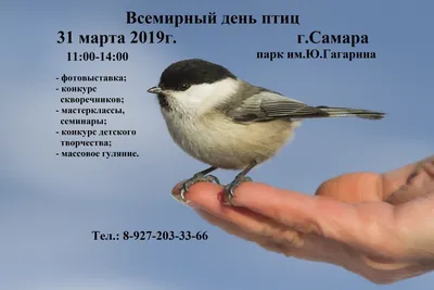 Международный день птиц\" 31 марта 2019г. Парк им.Ю.Гагарина - Музей  коллекций, технологий и инициатив \"Союз\"