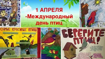 1 апреля – Международный день птиц | 01.04.2020 | Суворов - БезФормата