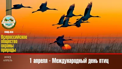 Международный день птиц - РИА Новости, 01.04.2023