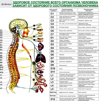 Форум по пауэрлифтингу в России и мире powerlifting, нормативы по  пауэрлифтингу всех федераций WPC, IPA, IPF, чемпионат, тренировки,  соревнования, федерация, экипировка, фитнес, бодибилдинг, гиревой спорт,  силовой экстрим, упражнения, спортивное ...