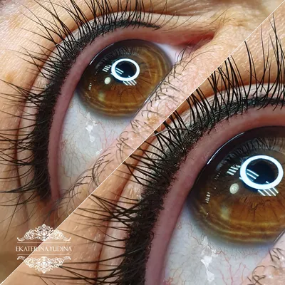 Фотографии межресничного татуажа глаз на разных типах кожи