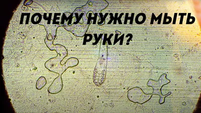 Изображение микробов на руках: PNG, WebP или JPG?