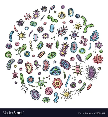 Изображение микробов на руках: детальное описание и выбор формата