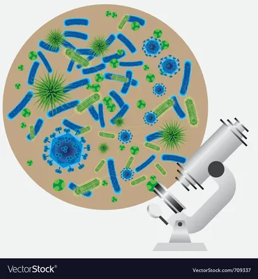 Микробы на руках: фотография высокого разрешения в формате JPG