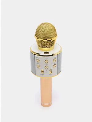 Стильный караоке микрофон для детей - Sikumi.lv. Идеи для подарков
