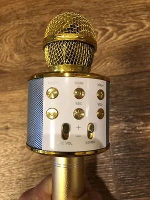 Микрофон беспроводной вокальный караоке, для пения, для детей, Bluetooth WS  858 купить по низким ценам в интернет-магазине Uzum (426185)