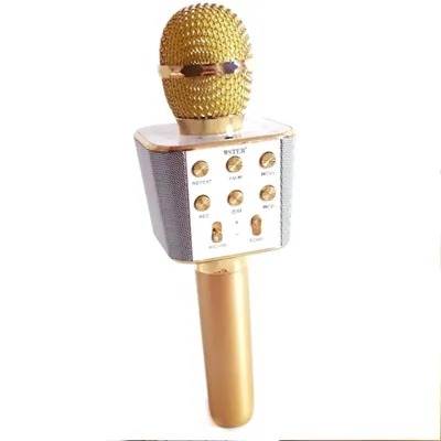 Беспроводной караоке-микрофон Портативный динамик Караоке-машина Игрушечный  конденсаторный микрофон с танцующими светодиодными огнями для детей 220  Гц-20 кГц - Италия, A-Ware - Оптовая платформа | Merkandi B2B