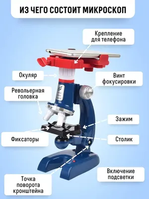 Levenhuk LabZZ M101 Art.69731 Микроскоп для детей - Каталог / Другие Товары  / Детское Творчество / BabyStore.lt - Крупнейший детский магазин  (интернет-магазин)