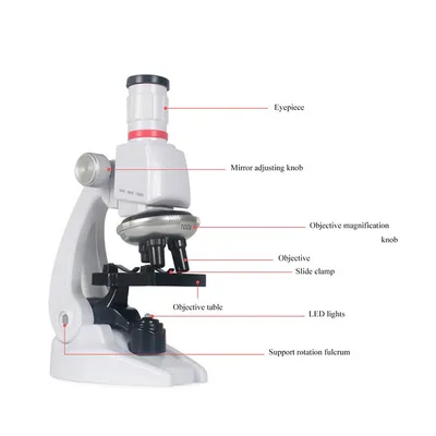 Микроскоп для взрослых и детей, составной микроскоп 100X-2000X с  предметными стеклами, комплект микроскопа для детей, студентов, домашней  школьной лаборатории – лучшие товары в онлайн-магазине Джум Гик