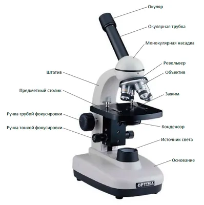Микроскоп картинки фотографии