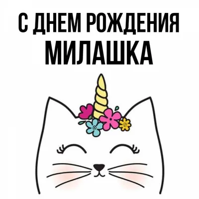 С Днем Рождения, Милашка!» композиция из 20 шаров на день рождения - с  доставкой шаров в Москве! 8841 товаров! Цены от 11 руб за шар!