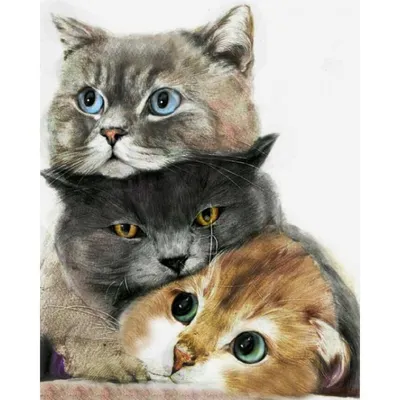 Картина по номерам \"Милі котики\"