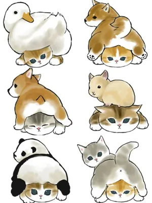 Mofu Sand | Иллюстрация кошки, Милые рисунки, Иллюстрации кошек