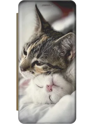 Mofu Sand | Милые котики, Котята, Иллюстрации кошек