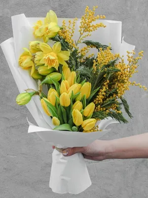 Заказать 25 тюльпанов и мимоза в Киеве