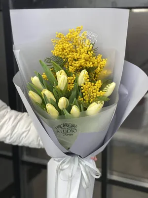 Букет из микса 21 желтого тюльпана и мимозы купить с доставкой по Минску -  Acuba di Flora