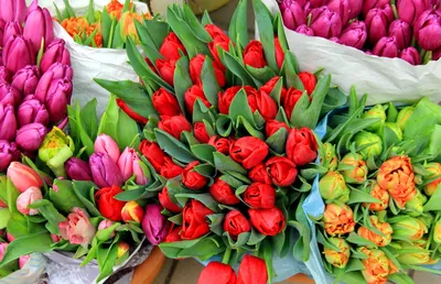 Букет \"Тюльпаны и мимоза\": цена 5 200 руб.
