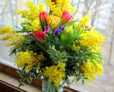 мимоза — Тюльпаны — Каталог — Салон цветов «Комплимент»