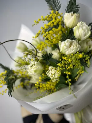 Букет из тюльпанов и мимозы - заказать и купить цветы с доставкой | Donpion