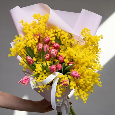 Тюльпаны и мимоза стоковое изображение. изображение насчитывающей свеже -  31679733
