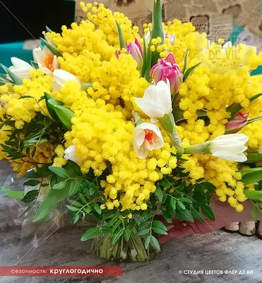 Мимозы, тюльпаны, гиацинты - для долгопрудненских женщин - Официальный сайт  администрации города Долгопрудный
