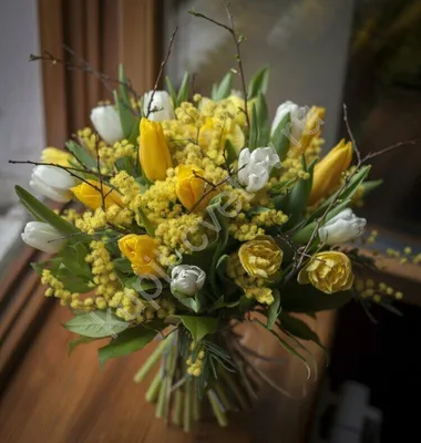 Жёлтые тюльпаны. Фотограф Tom Fincher