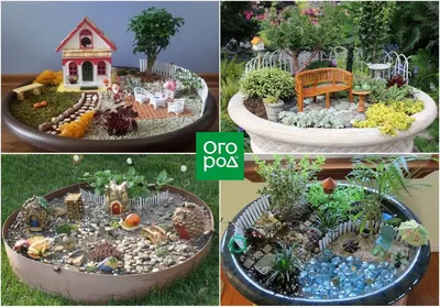 Изображение с миниатюрными садами, которое заставит вас полюбить природу ещё больше