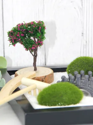 Чудеса миниатюрных садов на фото