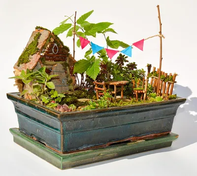 Изображение миниатюрных садов - маленькие сокровища природы