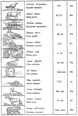 Ян Коменский «Orbis Pictus». Проверьте себя: не монстр ли вы?