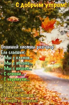 Мир позитива - 👇...👍🥰😊 📌 Присоединяйтесь к нам: 👇 Тг -  https://t.me/natureokk Вк- https://vk.com/natureokk Ок-  https://ok.ru/natureokk | Facebook