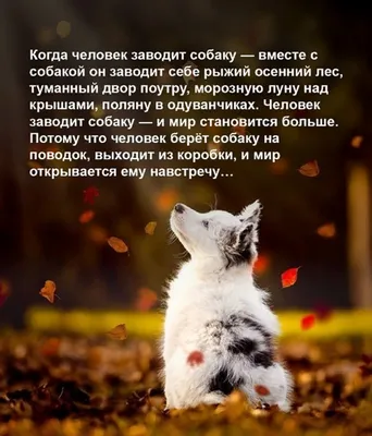 Мир позитива - Привет. 👇...👍🤔🤗😊 📌 Присоединяйтесь к нам: 👇 Тг -  https://t.me/natureokk Вк- https://vk.com/natureokk Ок-  https://ok.ru/natureokk | Facebook