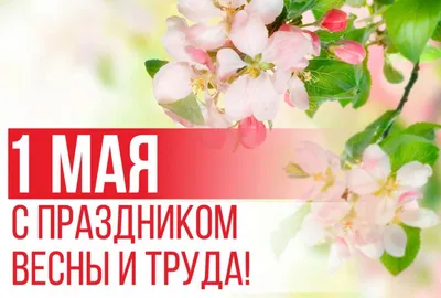 Мир, труд, май! – Новости компании РусРедМет