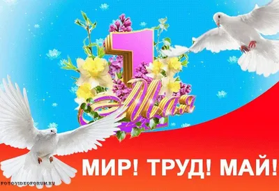 Мир! Труд! Май!🌺💐🌞 1 мая, в Центре города Пройдет масштабный СУББОТНИК🧹  » Добро на Камчатке