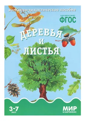 Весь мир в картинках. Самый веселый иллюстрированный словарь - Vilki Books