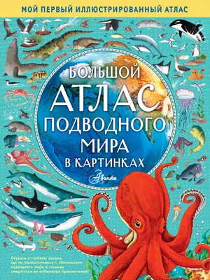 Большой атлас мира в картинках – Whale's Tales