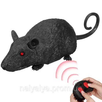 Мишка картинка для детей раскраска