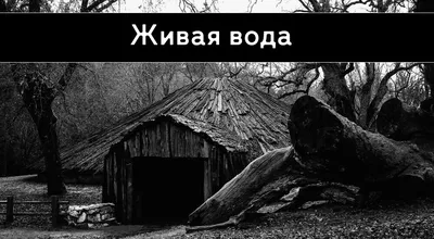 Бесплатное изображение: сказка, Мистика, милая девушка, фея, иллюстрация,  лицо, макияж, моды