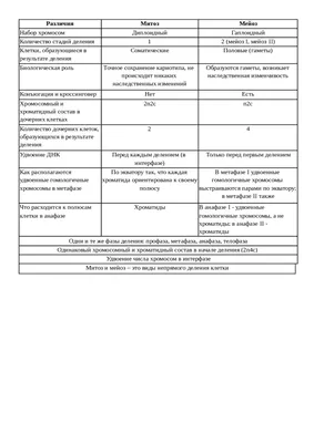 Тематический тест \"Митоз и мейоз\" 2022 Вариант по биологии