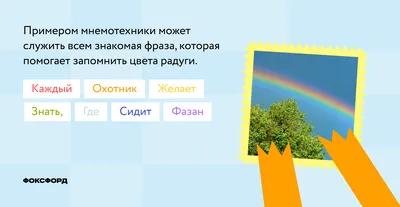 Мнемотехника для начинающих: советы и упражнения | Обучение детей,  Школьники, Запоминание