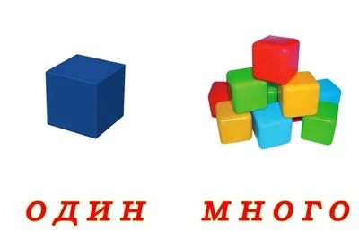 Много-мало | Nursery school activities, Plurals, School activities